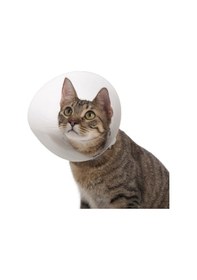 Resim Kedi ve Köpek için Yakalık 75 MM 