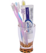 Resim Bosphorus Sia Diş Macunu Kabı Leopar Desenli Akrilik Diğer 