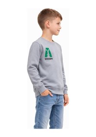Resim Baglan Erkek Çocuk Önü Baskılı Sweatshirt Bgl-st05234 Gri 
