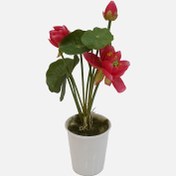 Resim Seramik Saksıda Yapay Lotus Çiçeği 