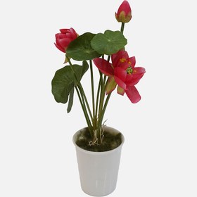 Resim Seramik Saksıda Yapay Lotus Çiçeği 