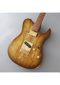 Resim Fujigen Iliad Elektro Gitar Eılew1hsrm/hcb 