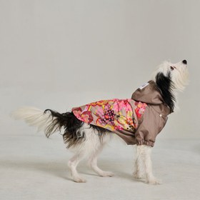 Resim Köpek Yağmurluk - Raincoat Series - Marji - 4 (XL) 