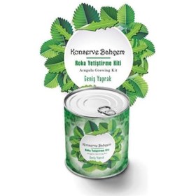 Resim NW NessiWorld BUFFER® Konserve Bahçem Evde Konservede İri Yapraklı Roka Yetiştirme Kiti 