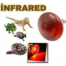 Resim AKDEREPET Isıtıcı Lamba Infrared 250 Watt Lamba 