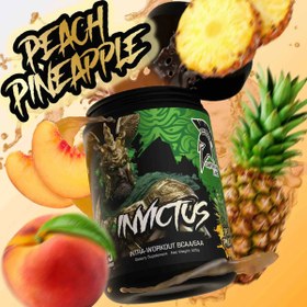 Resim Centurion Labz Invictus Bcaa + Eaa + Glutamine + Taurine Amino Recovery Matrix Alpha gpc 