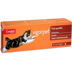 Resim Vigorpet Cat Pasta 50 G - Kediler İçin Enerji Veren, İştah Açıcı Ve Güçlendirici Macun 