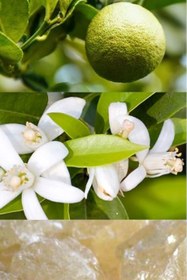 Resim Orange-Bergamot El Kremi 40 ml - 40 ml 