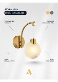 Resim Fiora Midye Cam Küre Duvar Aplik Gold & Krom Seçenekli Gold 