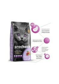Resim Pro Choice Pro 38 Kitten Kuzu Etli Yavru Kedi Maması 15 Kg 