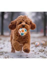 Resim Hype Store Kanji 3'lü Kedi Köpek Tenis Topu | 6.5 cm Orta Boy Renkli Pati Desenli Dayanıklı Oyuncak | Diş Dostu 