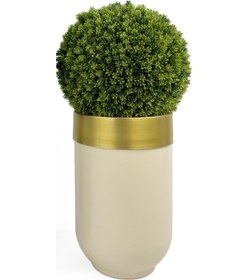 Resim İkili Şimşir Ağacı 90cm Siyah Ve Krem Darbuka Saksıda H 