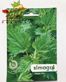 Resim Isırgan Otu Tohumu 100 Adet 