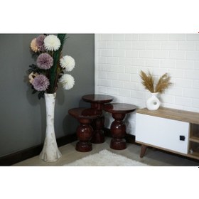 Resim Wood Wooden 3 Lü Set Karpuz Model Mantar Yan Sehpa Modern Koyu Ceviz Renk Fiskos Maun 