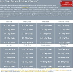 Resim PAWROTECTOR SUN File Yazlık Köpek Ayakkabısı (4'lü set) - Siyah / 2 