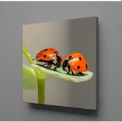 Resim Uğur Böcekleri Kanvas Tablo 