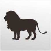 Resim Folyo Sticker Aslan 50cm Uzunluk Siyah 