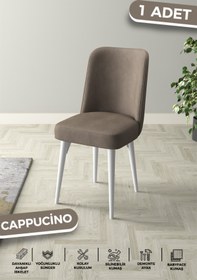 Resim Haus concept Mila Serisi 1.sınıf Babyface Silinebilir Kumaş Cappucino Sandalye Beyaz Gürgen Ayak (garantili) 