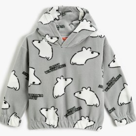 Resim Erkek Bebek Polar Kapşonlu Sweatshirt Kutup Ayısı Desenli Manşetleri ve Beli Lastikli 