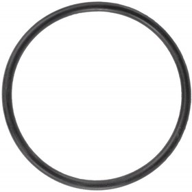 Resim AGCO O-Ring Conta - AGCO White Planters | WR35020 