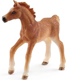 Resim Schleich Tay Seti 42361 