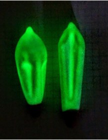 Resim Fosforlu Kurşun Olta Kurşunu Fosforlu 