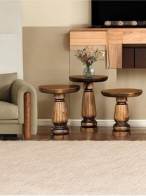 Resim ASELYA HOME Doğal Ahşap 3’lü Set Mantar Yan Sehpa Modern Ceviz Renk Fiskos Zigon Çiçeklik 