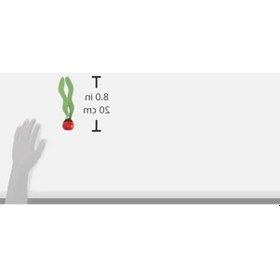 Resim Su Altında Eğlenceli Toplar, Su Oyunları İçin Uygun Eğlenceli Set Açık 