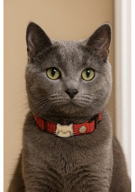 Resim Mıt Kedi Boyun Tasması Kedi Figürlü Kırmızı 