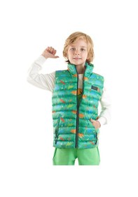 Resim Ahengim Erkek Çocuk Dinozor Baskılı Trend Şişme Yelek Ak216263 Yeşil 