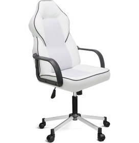 Resim Türksit Lidya Yönetici Ve Oyuncu Koltuğu Plastik Kol Ve Metalik Gri Boyalı Ayak Beyaz Beyaz 