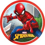 Resim Spiderman Crime Fighter Karton Tabak 23cm 8li Çok Renkli 