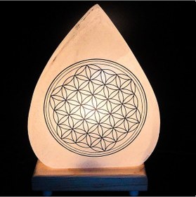 Resim Yaşam Çiçeği Tuz Lambası 