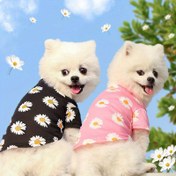 Resim Papatya Baskılı Köpek & Kedi Tişörtü - Yumuşak Polyester, Üstten Giyilen Stil, Küçükten Büyük Irklara Uygun - İlkbahar/Sonbahar Moda Aksesuarı 