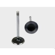 Resim Subap Emme Egzoz Nıssan Mıcra 1.2-1.4 16v Cr12de-cr14de In-8/ex-8-301817 