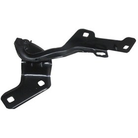 Resim Renault Clio 3 Hb 09/12 Kaput Menteşesi Sol Tyg 