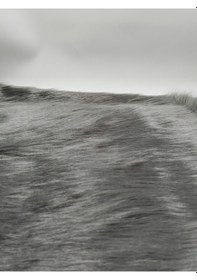 Resim Kürk Peluş Kumaş 