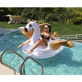 Resim Crivit Pegasus Şişme Deniz Yatağı 226x200x120cm Diğer 