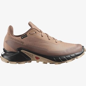 Resim Salomon Alphacross 5 Gtx W Kadın Pembe Patika Koşu Ayakkabısı L47595100-28515 Pembe 