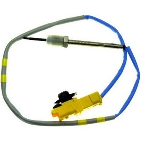 Resim Ngk Egzoz Sıcaklık Sensörü 8200941746 Laguna Latıtude Qashqaı X T 