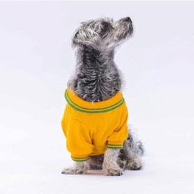 Resim Pawstar Sarı Marine Polo Yaka Kedi Köpek Tişörtü 