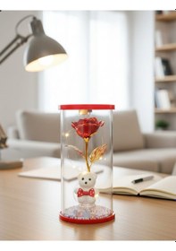 Resim Cam Fanus İçinde Kırmızı Sonsuzluk Gülü Ve Beyaz Ayıcık Led Işıklı Dekoratif Hediye 20 Cm Boy-20 Cm 
