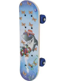 Resim Can Oyuncak 1705 Küçük Kaykay 42.5 CM Çok Renkli 