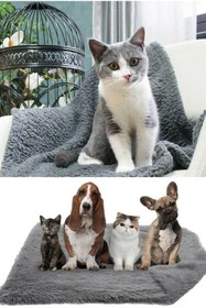 Resim Peluş Gri Kedi Köpek Yatağı Battaniyesi Evcil Kedi Minderi Yuvası Evi Kulübesi Matı Örtüsü 60x90 cm 