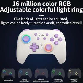 Resim gizala Kablosuz Oyun Kontrolcüsü Gamepad Hall Effect Triggers Joystick Game Controller Switch 2 / Switch/PC/Steam/Android/IOS (Beyaz) 