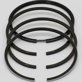 Resim MOTOKENT SEGMAN SETİ (0.50-ÇAP:78.50 mm):LOMBARDINI/6LD 325/LDA 520 