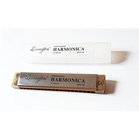 Resim Cremonıa Hm0120 Mızıka 20 Delik Professıonal Harmonıca 