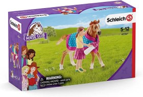 Resim Schleich Tay Seti 42361 
