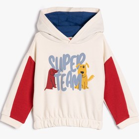 Resim Erkek Bebek Kapüşonlu Sweatshirt Renk Kontrastlı Köpek Baskılı Pamuklu 