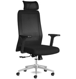 Resim Kolto Başlıklı Siyah Çalışma Koltuğu 